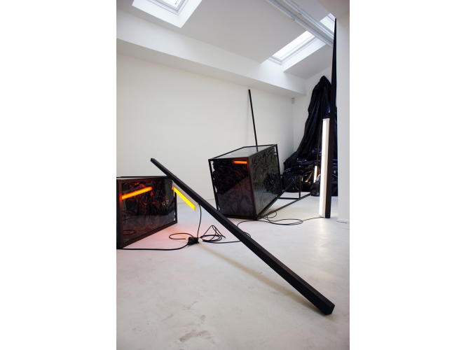 Angelika Markul, ‘Migration(s)’, 2011 % Technique mixte<br/>Vue de l'exposition "SECOND SPACE OPENING", Galerie Suzanne Tarasieve, Paris, 2011<br/><br/>Mixed technique<br/>View of the exhibition, "SECOND SPACE OPENING", Galerie Suzanne Tarasieve, Paris, 2011<br/><br/>