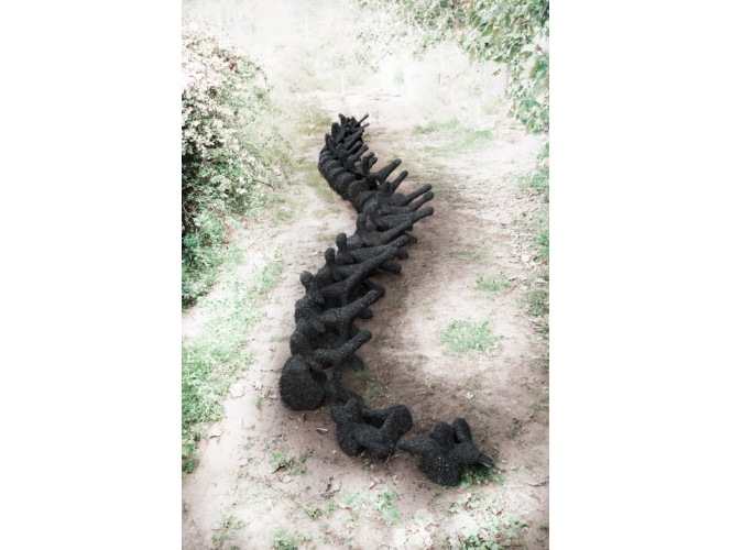 Untold Story of a Millipede that Crossed The Ocean, 2014 % Charbon <br/>Longueur : 21 mètre<br/>Sculpture présentée à Kochi Muziris Biennale 2014<br/><br/>Coal <br/>Length: 21 meter<br/>Sculpture exhibited at Kochi Muziris Biennale 2014<br/><br/>