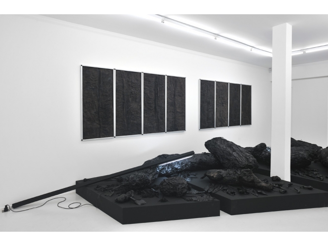 Vue de l’exposition / Exhibition view, 2012 % Galerie Suzanne Tarasieve, Paris<br/>© Rebecca Fanuele<br/><br/>