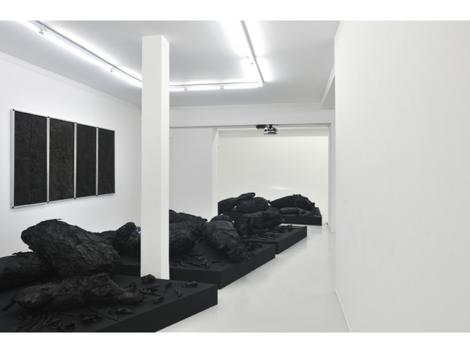Vue de l’exposition / Exhibition view, 2012 % Galerie Suzanne Tarasieve, Paris<br/>© Rebecca Fanuele<br/><br/>