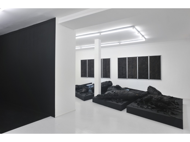 Vue de l’exposition / Exhibition view, 2012 % Galerie Suzanne Tarasieve, Paris<br/>© Rebecca Fanuele<br/><br/>