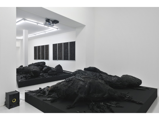 Vue de l’exposition / Exhibition view, 2012 % Galerie Suzanne Tarasieve, Paris<br/>© Rebecca Fanuele<br/><br/>