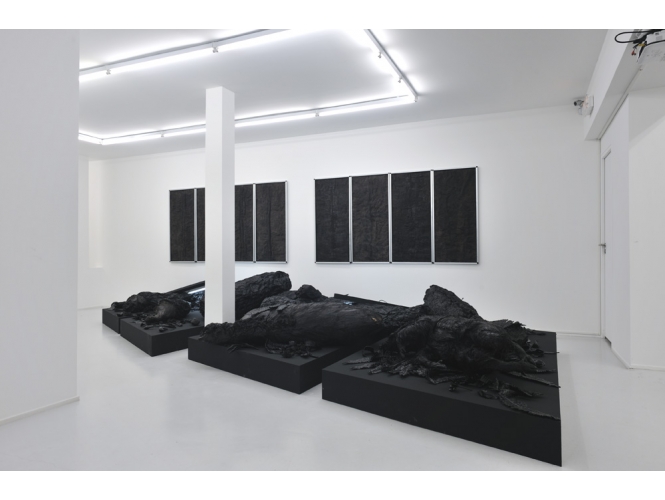 Vue de l’exposition / Exhibition view, 2012 % Galerie Suzanne Tarasieve, Paris<br/>© Rebecca Fanuele<br/><br/>