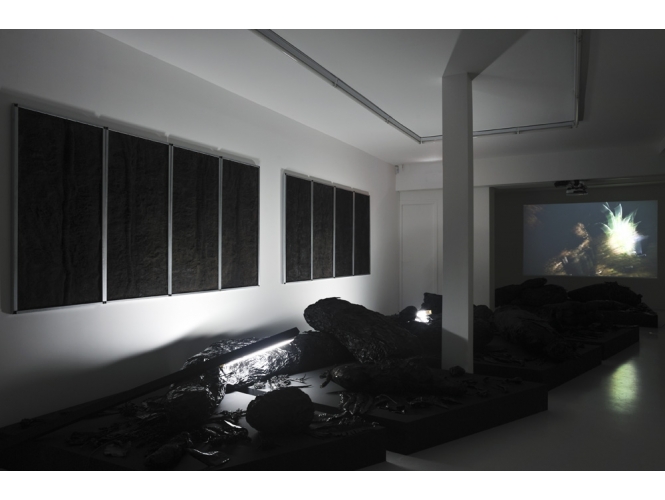 Vue de l’exposition / Exhibition view, 2012 % Galerie Suzanne Tarasieve, Paris<br/>© Rebecca Fanuele<br/><br/>