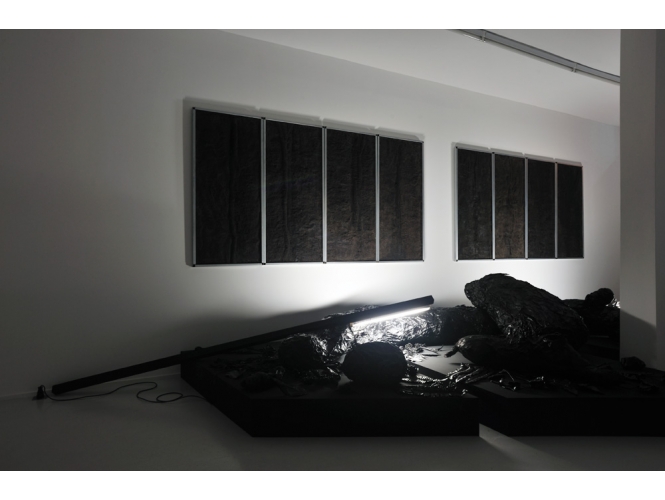 Vue de l’exposition / Exhibition view, 2012 % Galerie Suzanne Tarasieve, Paris<br/>© Rebecca Fanuele<br/><br/>