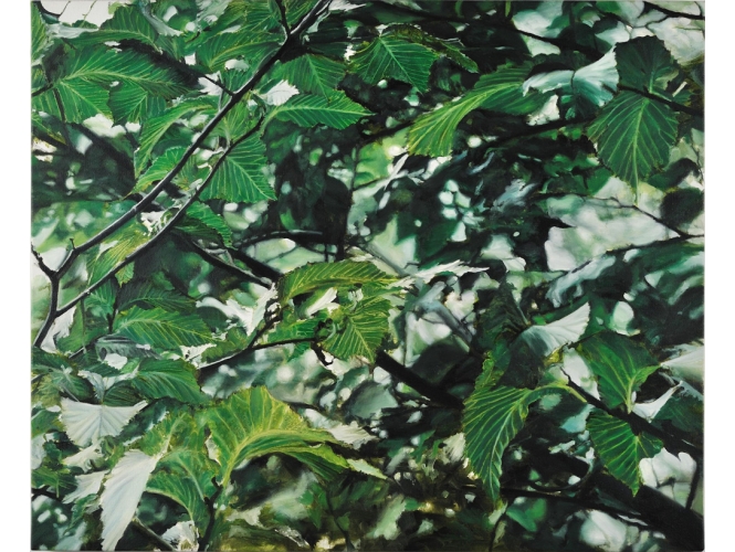 Détail, 2012 % Huile sur toile <br/>Oil on canvas<br/>60 x 73 cm<br/><br/>