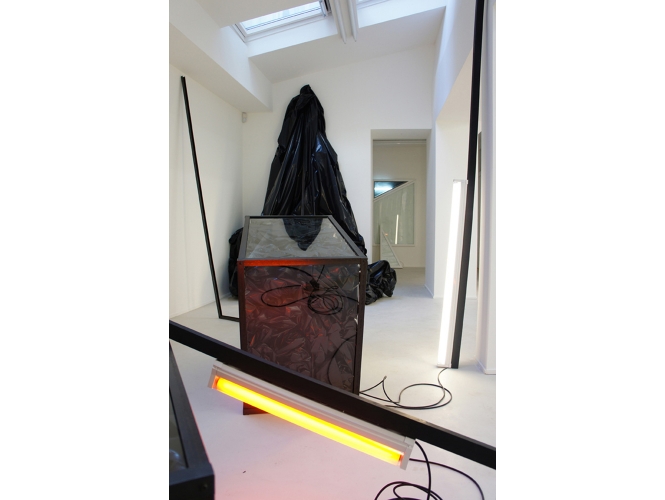 Angelika Markul, ‘Migration(s)’, 2011 % Technique mixte<br/>Vue de l'exposition "SECOND SPACE OPENING", Galerie Suzanne Tarasieve, Paris, 2011<br/><br/>Mixed technique<br/>View of the exhibition,  "SECOND SPACE OPENING", Galerie Suzanne Tarasieve, Paris, 2011<br/><br/>