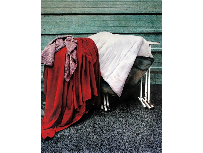 Nature morte, 2011 % Huile sur toile<br/>Oil on canvas<br/>250 x 200 cm<br/><br/>