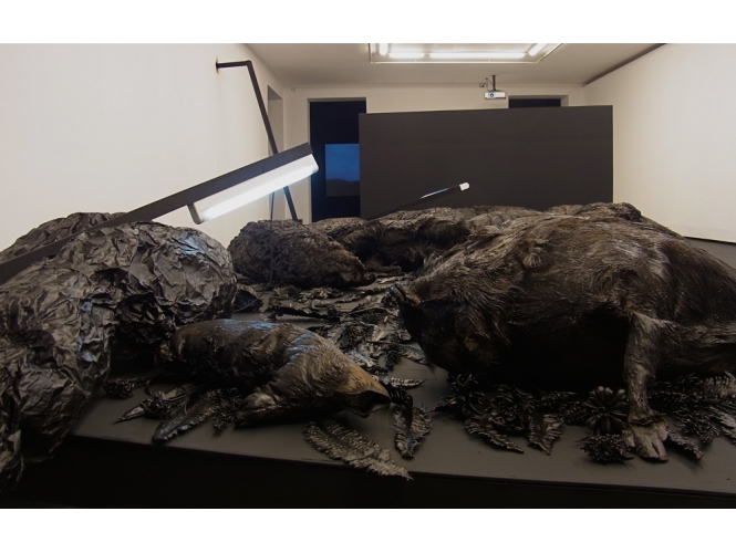 Vue de l’exposition / View of the exhibition ,2012 %  "La Chasse", Galerie Arsenal (Centre d’Art Contemporain), Bialystok, Pologne<br/><br/>"La Chasse", Galerie Arsenal (Contemporary art centre), Bialystok, Poland<br/><br/>