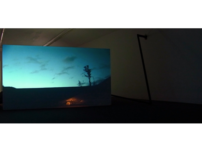 Tableau de chasse, 2009 % Vue de l'exposition "La Chasse", Galerie Arsenal (Centre d’Art Contemporain), Bialystok, Pologne,  2012<br/><br/>View of the exhibition, "La Chasse", Galerie Arsenal (Contemporary art centre), Bialystok, Poland, 2012<br/><br/>