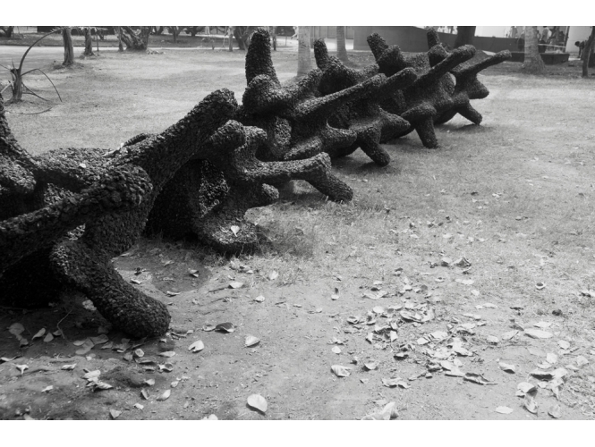 Untold Story of a Millipede that Crossed The Ocean, 2014 % Charbon <br/>Longueur : 21 mètre<br/>Vue de la Biennale Kochi Muziris 2014<br/><br/>Coal <br/>Length: 21 meter<br/>View of Kochi Muziris Biennale 2014<br/><br/>