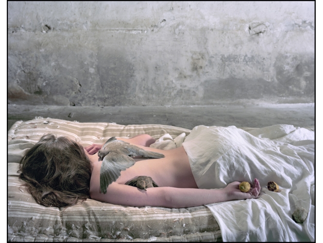Cataplasme d’oiseaux sur l’enfant transparent – Série ‘Le Pays d’en Bas’, 2013 % Tirage sur papier FineArt d'après plan-film, contre collage sur Dibon<br/>132,5 x 162,5 x 10 cm <br/>(52 1/8 x 64 x 3 7/8 in.) encadré<br /><br />
