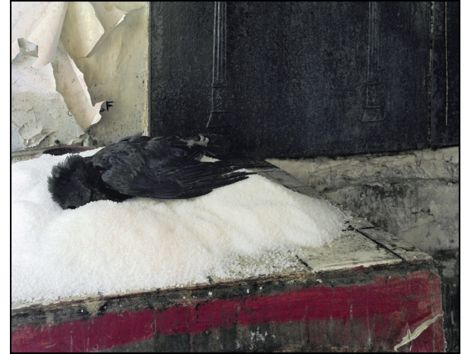 De ça on ne parle point – Série ‘Le Pays d’en Bas’, 2013 % Tirage sur papier FineArt d'après plan-film, contre collage sur Dibon<br/>132,5 x 162,5 x 10 cm <br/>(52 1/8 x 64 x 3 7/8 in.) encadré<br /><br />