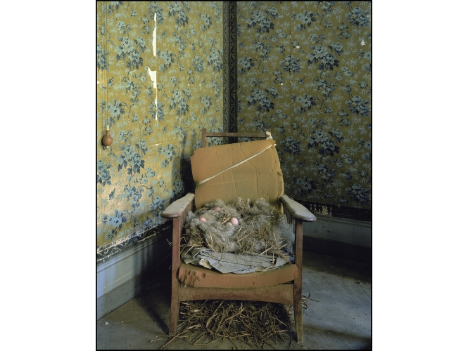 Je suis devenue coquille d’oeufs – Série ‘Le Pays d’en Bas’, 2013 % Tirage sur papier FineArt d'après plan-film, contre collage sur Dibon<br/>162,5 x 132,5 x 10 cm <br/>(64 x 52 1/8 x 3 7/8 in.) encadré <br /><br />