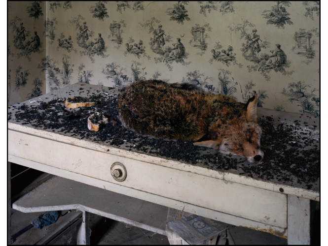 J’y ai mis du sel dans la goule – Série ‘Le Pays d’en Bas’, 2013 % Tirage sur papier FineArt d'après plan-film, contre collage sur Dibon<br/>132,5 x 162,5 x 10 cm <br/>(52 1/8 x 64 x 3 7/8 in.) encadré <br /><br />