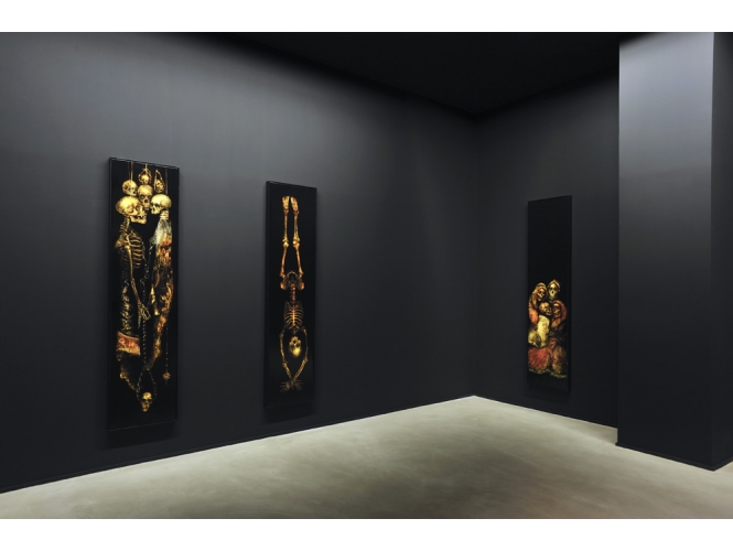 Vue de l’exposition / Exhibition view, 2012 % "Entanglement", Galerie Suzanne Tarasieve / LOFT 19, Paris<br/>Photo: Rebecca Fanuele<br/><br/>