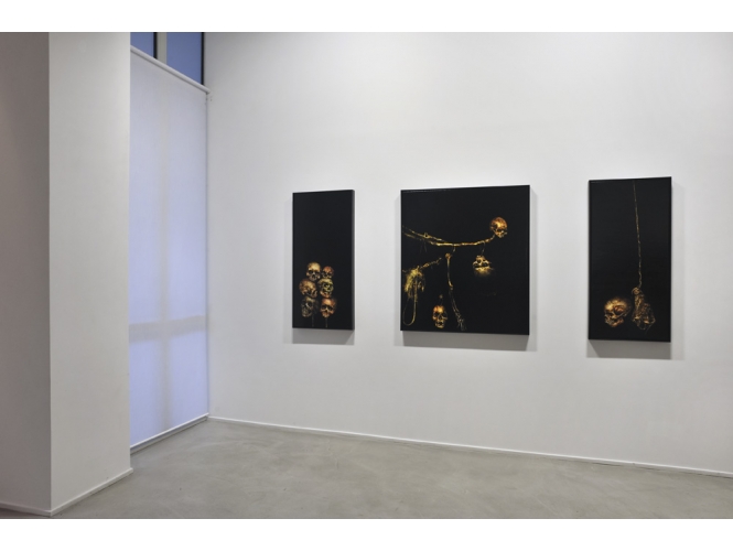 Vue de l’exposition / Exhibition view, 2012 % "Entanglement", Galerie Suzanne Tarasieve / LOFT 19, Paris<br/>Photo: Rebecca Fanuele<br/><br/>