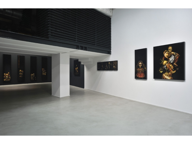 Vue de l’exposition / Exhibition view, 2012 % "Entanglement", Galerie Suzanne Tarasieve / LOFT 19, Paris<br/>Photo: Rebecca Fanuele<br/><br/>