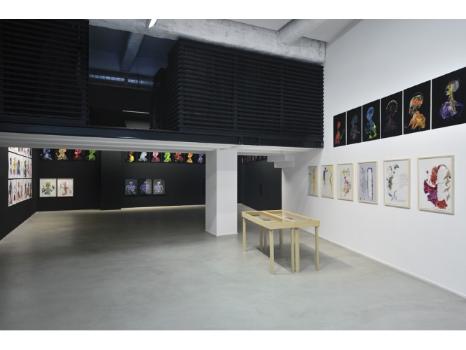 Vue de l’exposition / Exhibition view, 2013 % "Mystic & Smart", Galerie Suzanne Tarasieve / Loft 19, Paris <br/>© Rebecca Fanuele<br/><br/>