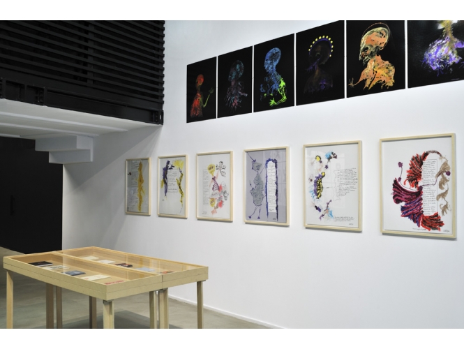 Vue de l’exposition / Exhibition view, 2013 % "Mystic & Smart", Galerie Suzanne Tarasieve / Loft 19, Paris <br/>© Rebecca Fanuele<br/><br/>