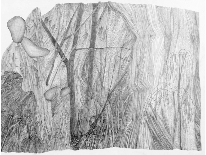Sans titre / Untitled, 2013 % Dessin à la mine de plomb<br/>Graphite drawing<br/>48 x 64 cm <br/><br/>