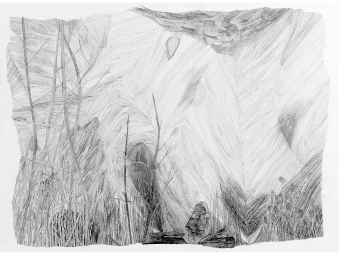 Sans titre / Untitled, 2014 % Dessin à la mine de plomb<br/>Graphite drawing<br/>67 x 77 cm<br/><br/>