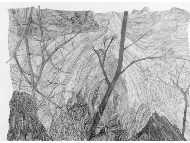 Sans titre / Untitled, 2013 % Dessin à la mine de plomb<br/>Graphite drawing<br/>48 x 64 cm <br/><br/>