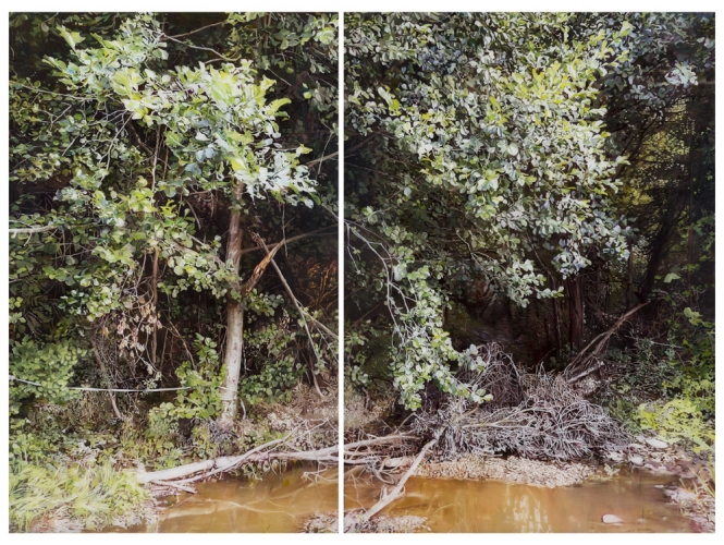 The Pool, 2014 % Diptyque, huile sur plexiglas<br/>Diptych, oil on plexiglass<br/>190 x 255 cm<br/>(74 3/4 x 100 3/8 in.)<br/><br/>