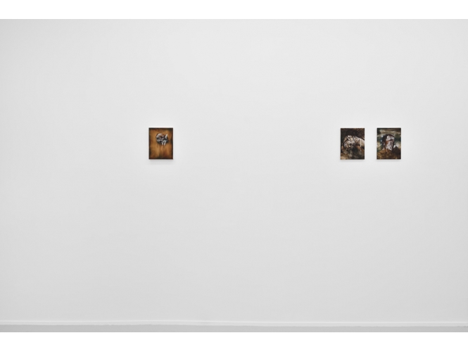 VUE DE L’EXPOSITION / EXHIBITION VIEW, 2015 % "Lettres à Sibylla", Galerie Suzanne Tarasieve, Paris<br/>Photo: Rebecca Fanuele<br/><br/><br/>