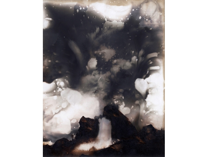 SANS TITRE, 2014 % Cliché-verre, huile sur papier photo<br/>Cliché-verre, oil on photo paper<br/>50 x 40 cm <br/>(19 5/8 x 15 3/4 in.)<br/><br/>