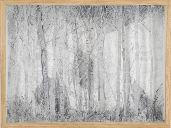 Dessin 10, 2015 % Mine de plomb sur papier<br/>Graphite on paper <br/>49 x 66 x 10 cm<br/><br/>Photo: Olivier Toggwiler<br/><br/>