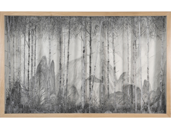 Dessin 2, 2015 % Mine de plomb sur papier et papier calque<br/>Graphite on paper and tracing paper <br/>82 x 132 x 12,5 cm<br/><br/>Photo: Olivier Toggwiler<br/><br/>