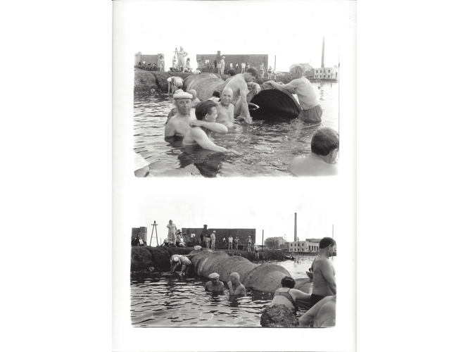 Untitled from the ‘Salt Lake’ series, 1986 % 46 tirages argentique noir et blanc, vintages / 46 black and white silver prints, vintages<br/>30 x 24 cm (chacun / each)<br/>(11 3/4 x 9 1/2 in.)<br/><br/>