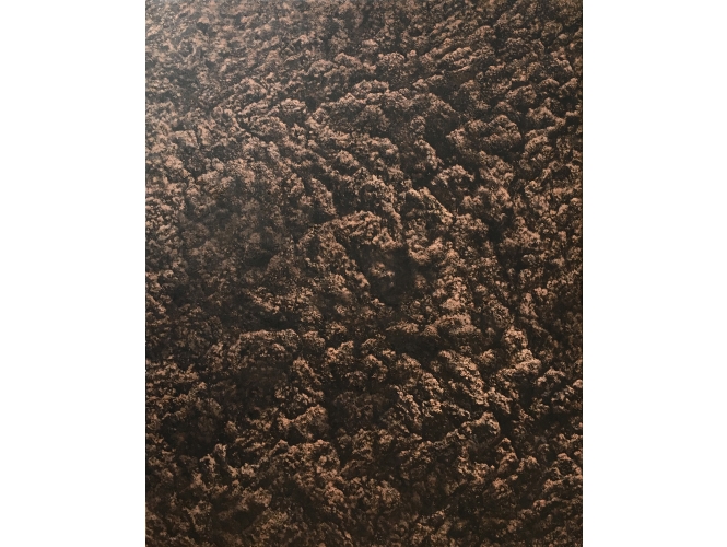 Terre, 2018 % Huile sur toile / Oil on canvas<br/>162 x 130 cm<br/>(63 3/4 x 51 1/8 in.)<br/><br>