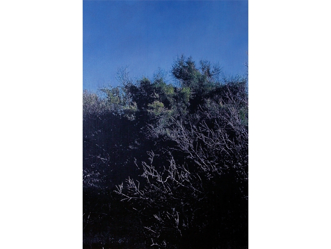 Griffes, 2018 % Huile sur toile / Oil on canvas<br/>195 x 130 cm <br/>(76 3/4 x 51 1/8 in.)<br/></br>