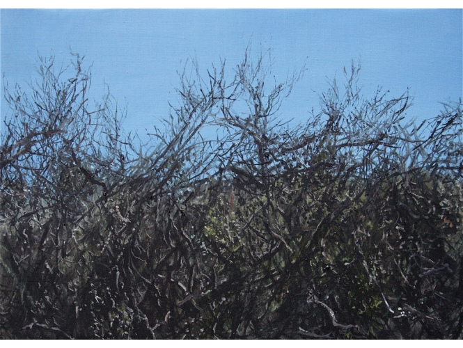 Paysage, 2018 % Huile sur toile / Oil on canvas<br/>33 x 46 cm	<br/>(13 x 18 1/8 in.)<br/>YK 24<br/></br>
