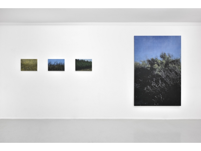 VUE DE L’EXPOSITION / VIEW OF THE EXHIBITION, 2019 % "De front", Galerie Suzanne Tarasieve, Paris<br/>Photo: Rebecca Fanuele<br/></br>