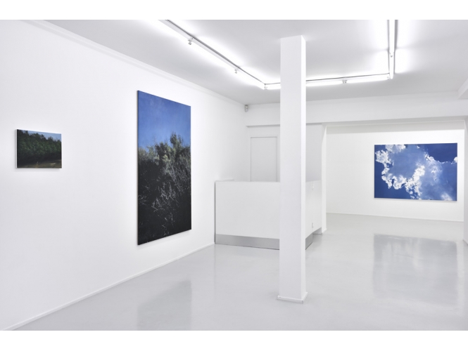 VUE DE L’EXPOSITION / VIEW OF THE EXHIBITION, 2019 % "De front", Galerie Suzanne Tarasieve, Paris<br/>Photo: Rebecca Fanuele<br/></br>