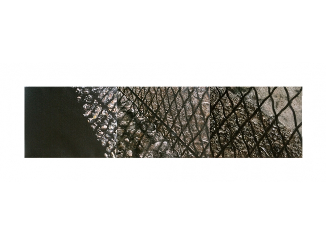 Déclinaison (numérotée), 2018 % Huile sur toile / Oil on canvas<br/>50 x 65 cm <br/>(19 5/8 x 25 5/8 in.) chaque / each<br/>YK 09, YK 10 & YK 11<br/></br>