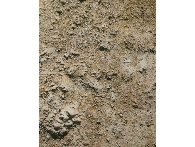 Sol, 2018 % Huile sur toile / Oil on canvas<br/>162 x 130 cm<br/>(63 3/4 x 51 1/8 in.)<br/><br>