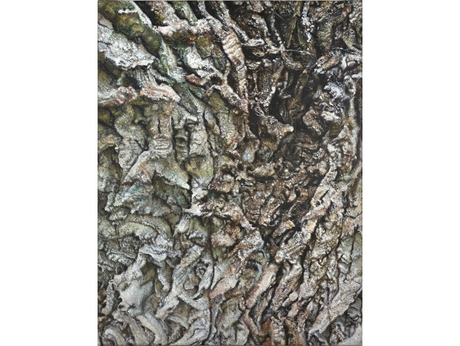Écorce #1, 2020 % Huile sur toile / Oil on canvas<br/>65 x 50 cm <br/>(25 5/8 x 19 5/8 in.)<br/></br><br/>