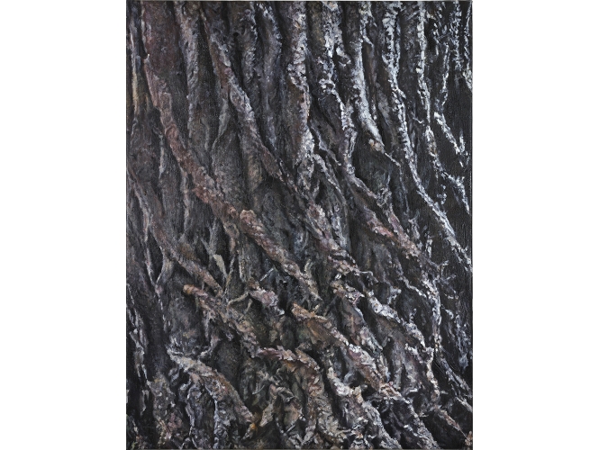 Écorce #2, 2020 % Huile sur toile / Oil on canvas<br/>65 x 50 cm<br/>(25 5/8 x 19 5/8 in.)<br/></br>