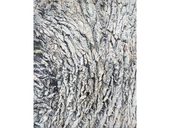 YOUCEF KORICHI % 'Écorce #3', 2020 <br/>Huile sur toile / Oil on canvas<br/>162 x 130 cm <br/>(63 3/4 x 51 1/8 in.)<br/>