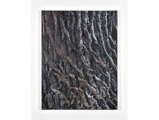 YOUCEF KORICHI % 'Écorce #2', 2020 <br/>Huile sur toile / Oil on canvas<br/>65 x 50 cm <br/>(25 5/8 x 19 5/8 in.)